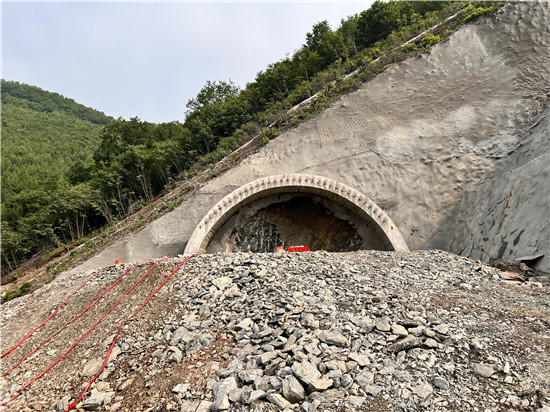 图3_副本.jpg 图3_副本.jpg