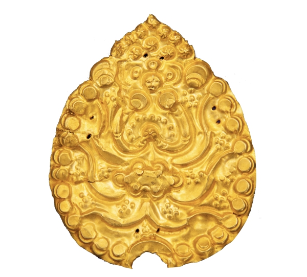 W020230521382325268828.jpg W020230521382325268828.jpg