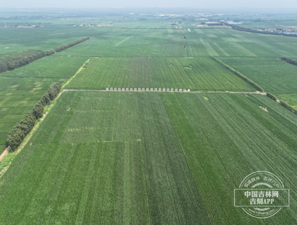 W020240722452509813373.jpg W020240722452509813373.jpg