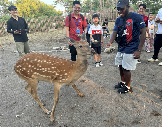 清凉08.jpg 清凉08.jpg