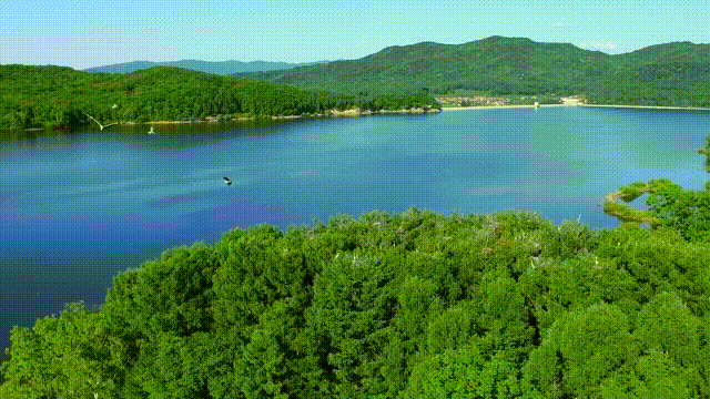 吉林3.gif 吉林3.gif