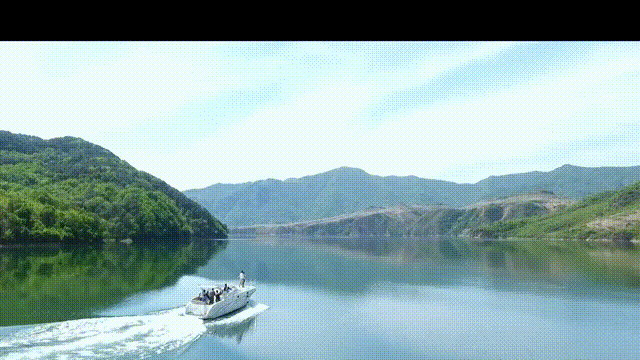 通化1.gif 通化1.gif