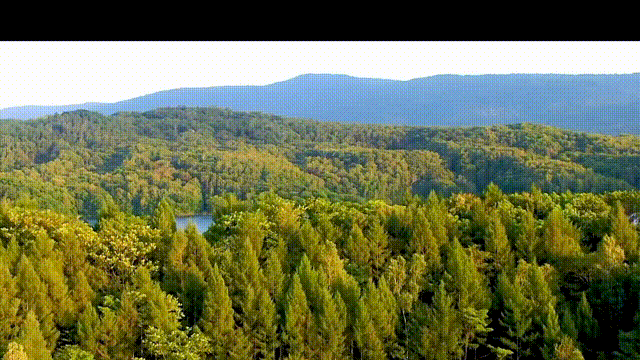 通化4.gif 通化4.gif