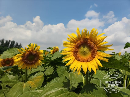 微信图片_20240816153435.jpg 微信图片_20240816153435.jpg