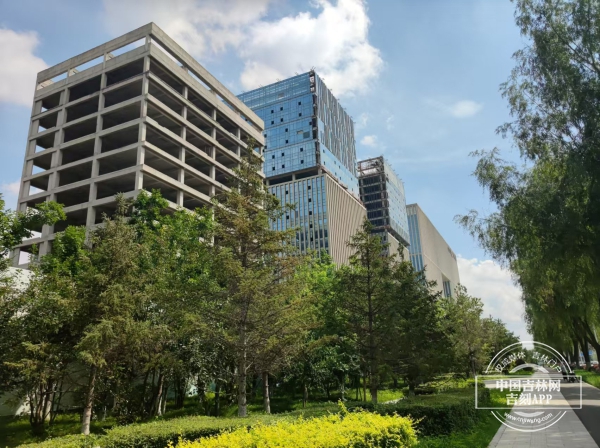 微信图片_20240818153105.jpg 微信图片_20240818153105.jpg