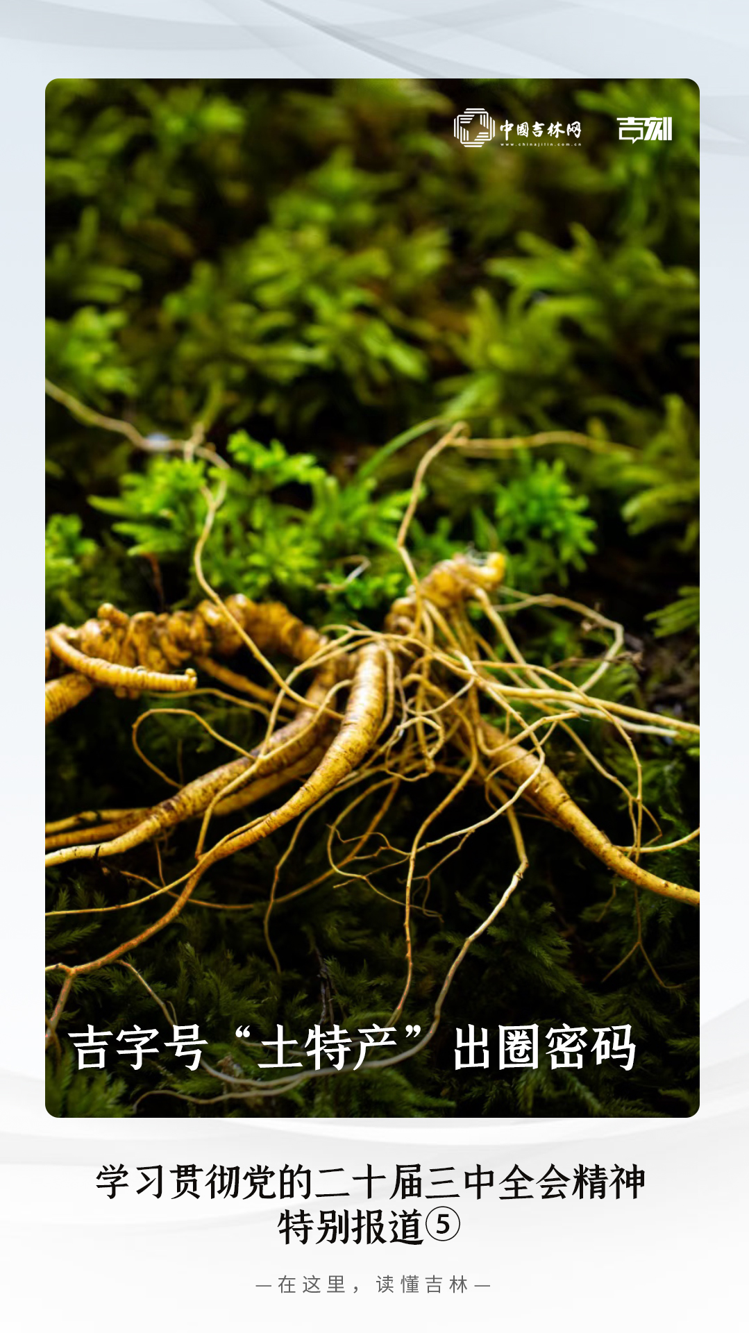 学习贯彻党的二十届三中全会特别报道④.jpg 学习贯彻党的二十届三中全会特别报道④.jpg