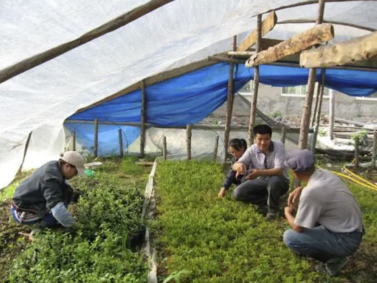 图片3.png 图片3.png