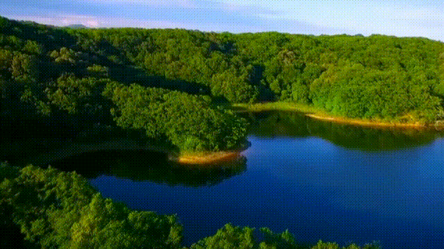 延边3.gif 延边3.gif