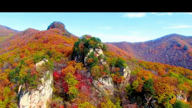 通化3.gif 通化3.gif