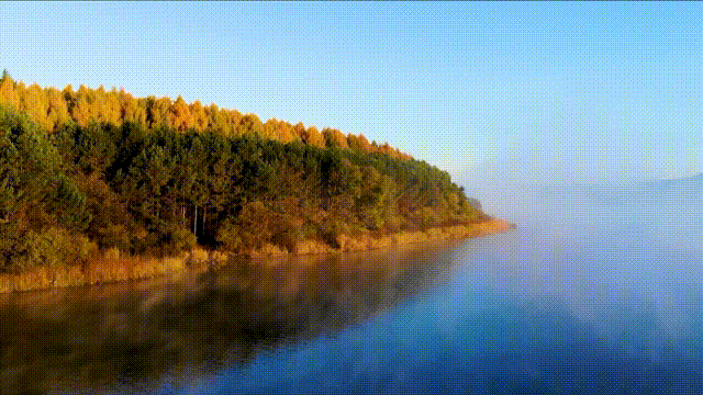 长春1.gif 长春1.gif