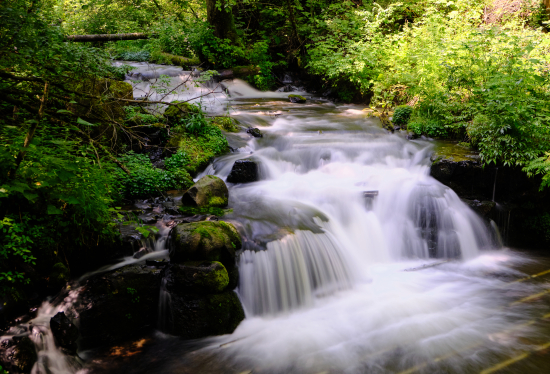 图虫创意-1366438974750064647.jpeg 图虫创意-1366438974750064647.jpeg