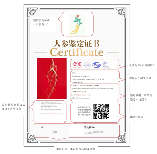 IMG_0889.png IMG_0889.png