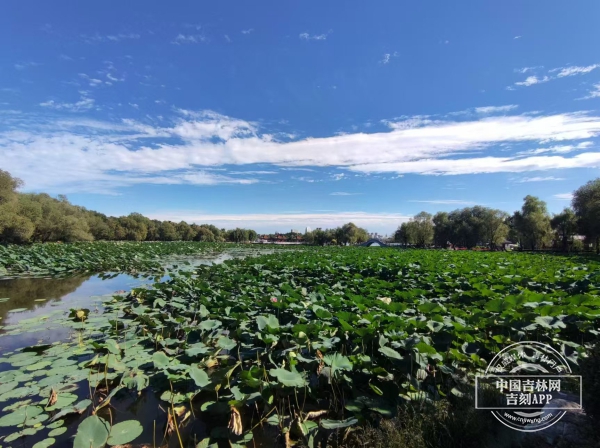 微信图片_20240913134407.jpg 微信图片_20240913134407.jpg