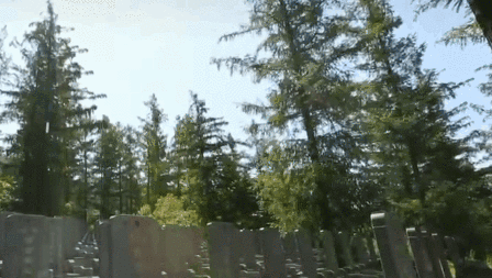 448x253_tutieshi_640x362_2s.gif 448x253_tutieshi_640x362_2s.gif