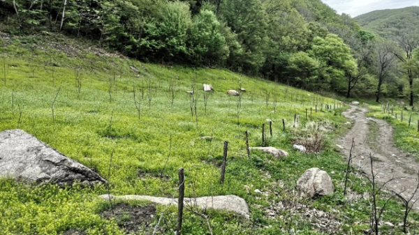 微信截图_20240923165030.png 微信截图_20240923165030.png