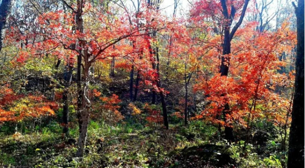 微信截图_20240923165105.png 微信截图_20240923165105.png