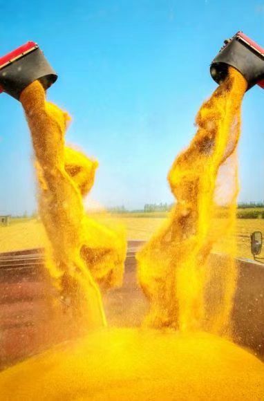 cf263d52454ee34d148443634965a29.jpg cf263d52454ee34d148443634965a29.jpg