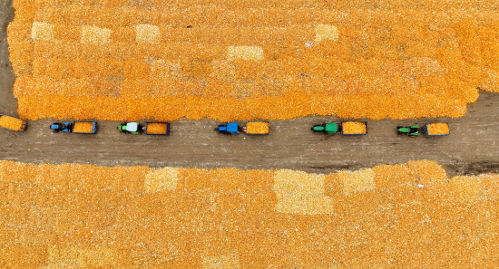 3图片作者李坤 拍摄地点梨树县凤凰山农机农民专业合作社.jpg 3图片作者李坤 拍摄地点梨树县凤凰山农机农民专业合作社.jpg