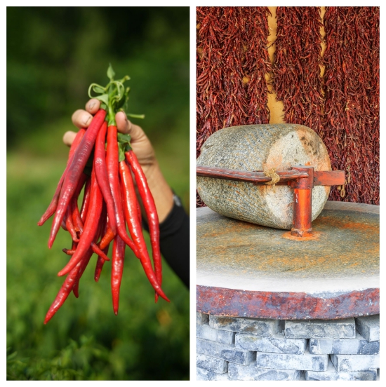 微信图片_20240925123526_副本.jpg 微信图片_20240925123526_副本.jpg