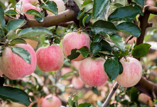 辽宁 图片来源于图虫创意 (1).jpeg 辽宁 图片来源于图虫创意 (1).jpeg