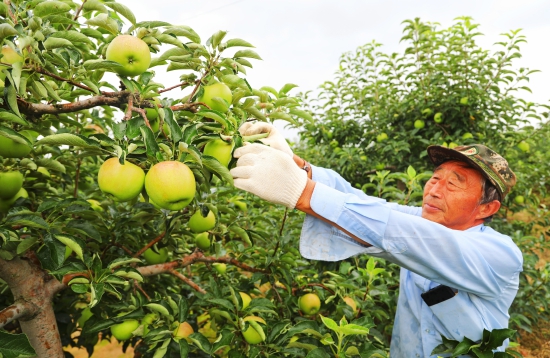 4ee6f723d23c20faf98c95d9823cc5e.jpg 4ee6f723d23c20faf98c95d9823cc5e.jpg