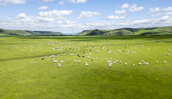 f832c626816c3e4d646237741e9f6ad.jpg f832c626816c3e4d646237741e9f6ad.jpg