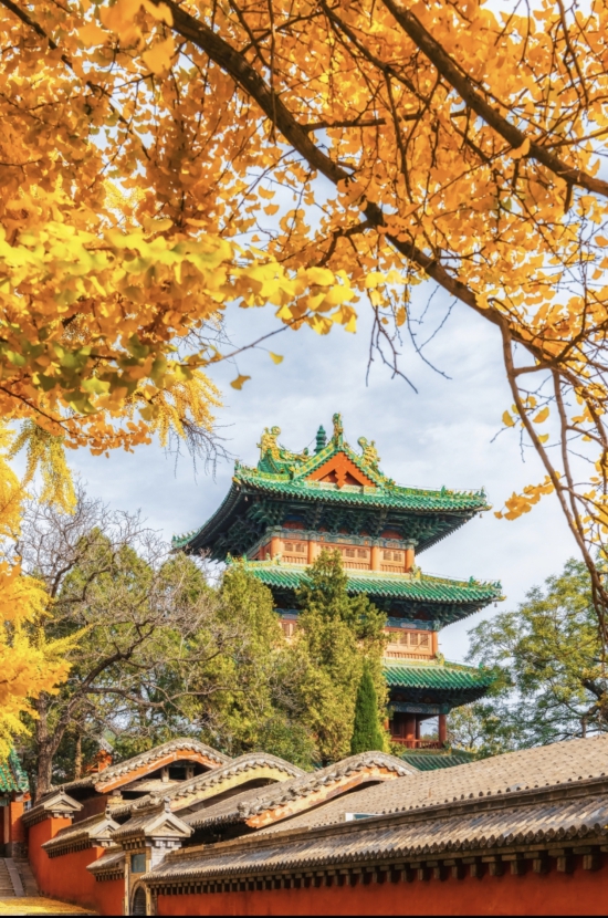 c15f6912608f82e09e69c50f07ab637.jpg c15f6912608f82e09e69c50f07ab637.jpg