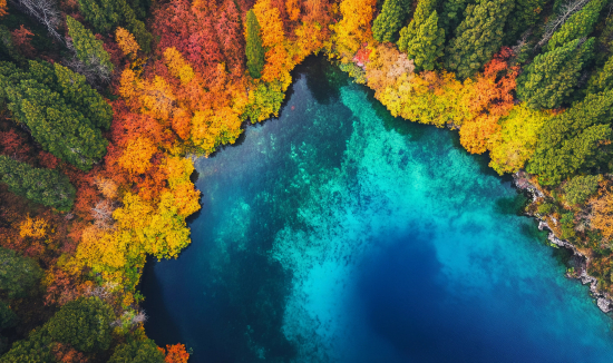 4b470c05ec99b475932c18b3ffb5106.jpg 4b470c05ec99b475932c18b3ffb5106.jpg