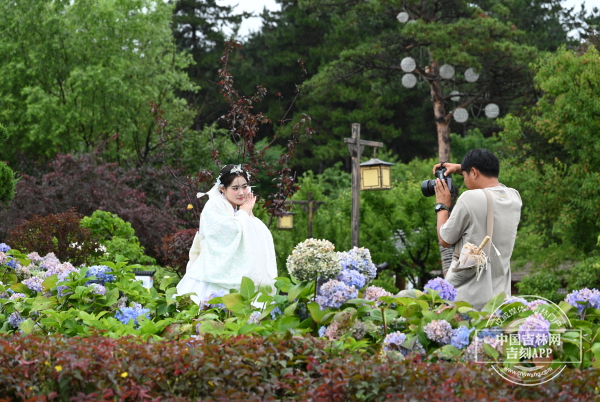 DAC1A3BF-0CB3-475C-8F7F-B5C4AA2C6D70.jpeg DAC1A3BF-0CB3-475C-8F7F-B5C4AA2C6D70.jpeg