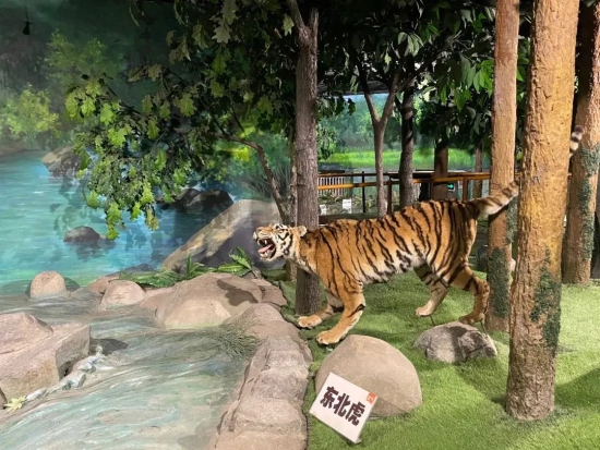 D53EBB56-BC59-41A6-A704-30D09CF8B151.jpeg D53EBB56-BC59-41A6-A704-30D09CF8B151.jpeg