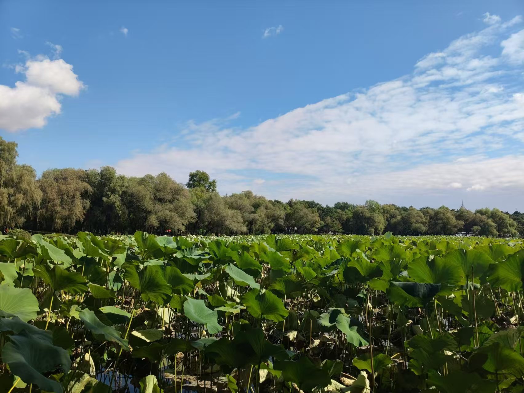 微信图片_20241002130357.jpg 微信图片_20241002130357.jpg