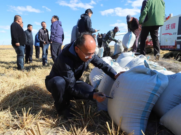 微信图片_20241011120820.jpg 微信图片_20241011120820.jpg