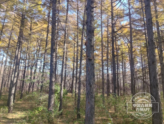 微信图片_20241023133222.jpg 微信图片_20241023133222.jpg