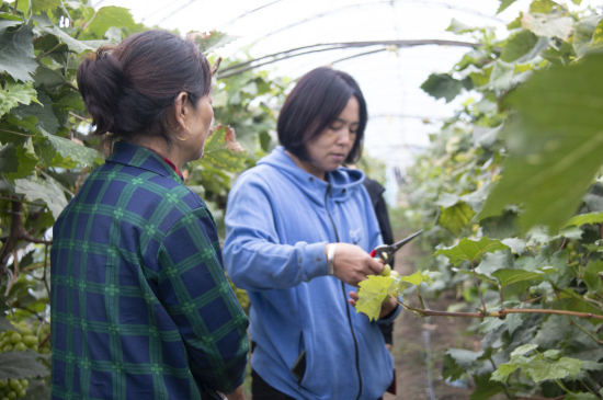 42b6931238f36a3fe9a29847f7cb1b1c_.jpg 42b6931238f36a3fe9a29847f7cb1b1c_.jpg