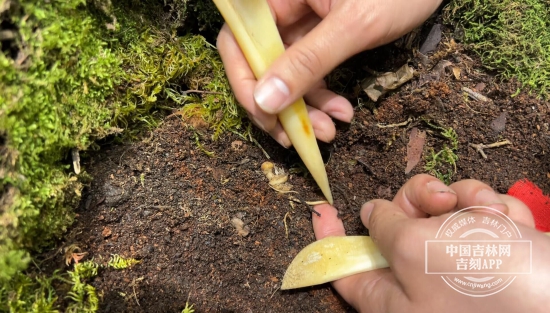 QQ图片20241107184102.jpg QQ图片20241107184102.jpg