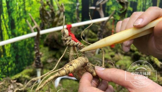 QQ图片20241107184111.jpg QQ图片20241107184111.jpg