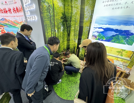 微信图片_20241107184127.jpg 微信图片_20241107184127.jpg