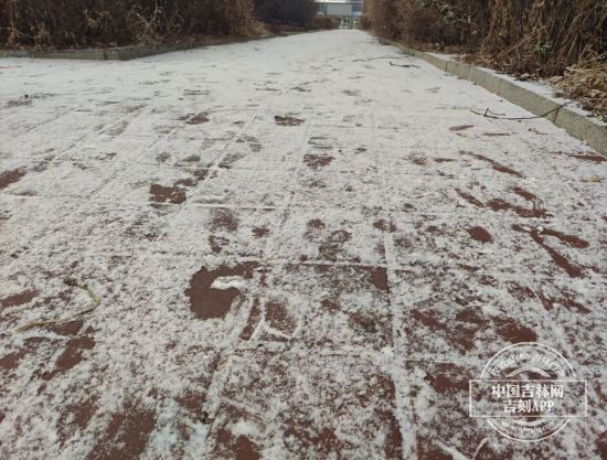 微信图片_20241121152715.jpg 微信图片_20241121152715.jpg