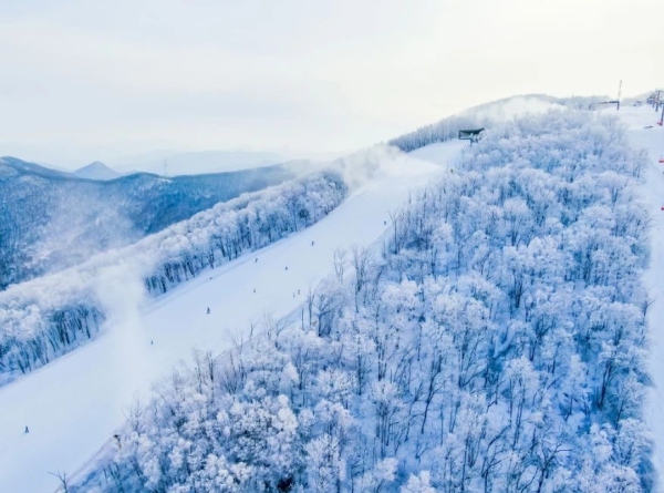 F58F621A-EDE4-4FAB-99D2-F8B411F8BC00.jpeg F58F621A-EDE4-4FAB-99D2-F8B411F8BC00.jpeg