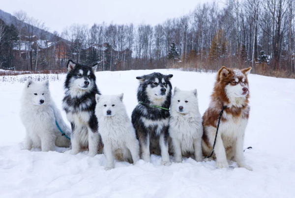 E7F65C51-D840-4A6B-89EA-956B35EA8F9B.jpeg E7F65C51-D840-4A6B-89EA-956B35EA8F9B.jpeg