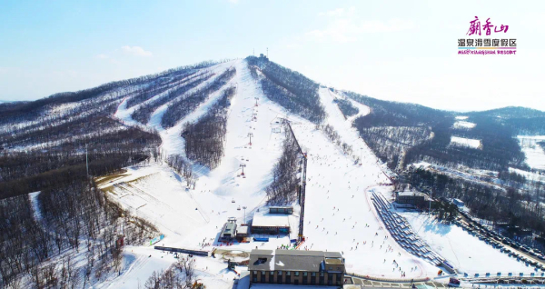 69875618-2171-4B9B-929D-87806CA490F2.jpeg 69875618-2171-4B9B-929D-87806CA490F2.jpeg