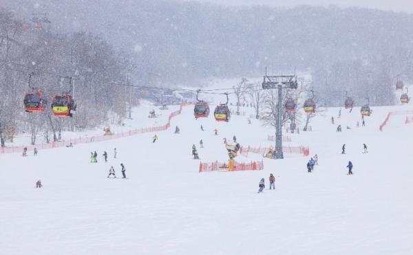 C2BF17C8-5537-4AA4-A6FF-F42BC90FB53F.jpeg C2BF17C8-5537-4AA4-A6FF-F42BC90FB53F.jpeg