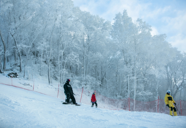 A409609E-141A-4E31-BAA6-64FBD69D26AC.jpeg A409609E-141A-4E31-BAA6-64FBD69D26AC.jpeg