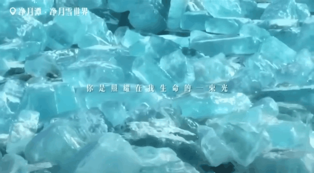 tutieshi_640x353_2s.gif tutieshi_640x353_2s.gif