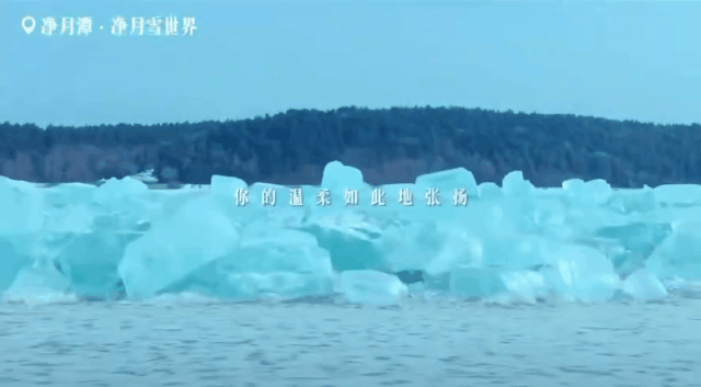 tutieshi_640x353_2s (1).gif tutieshi_640x353_2s (1).gif