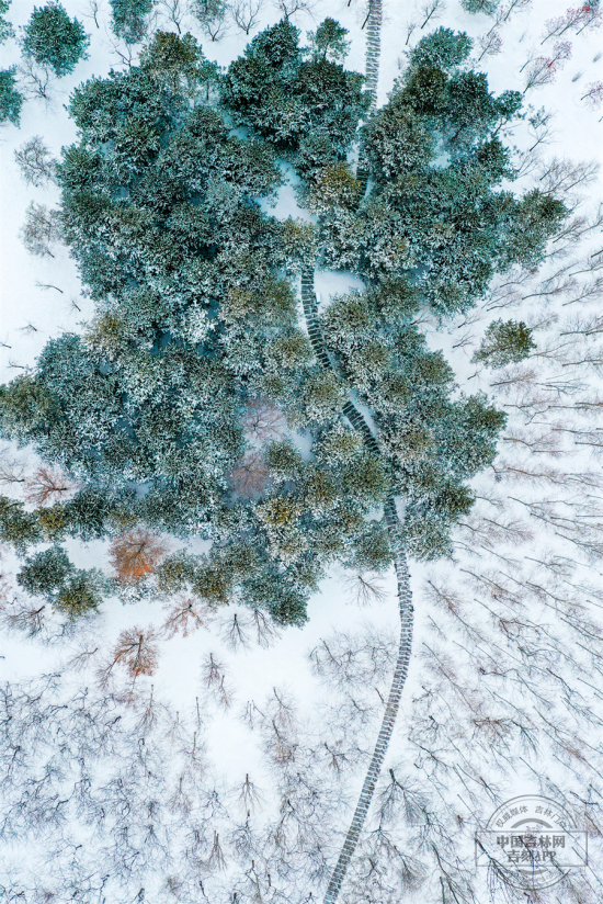 read_image.jpg read_image.jpg