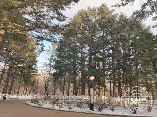 微信图片_20241206171759.jpg 微信图片_20241206171759.jpg