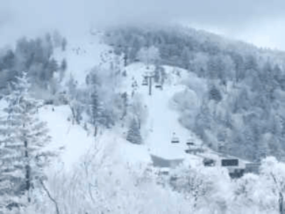 BCB465FD-5F33-42EF-AD81-110EEEB8DACA.gif BCB465FD-5F33-42EF-AD81-110EEEB8DACA.gif