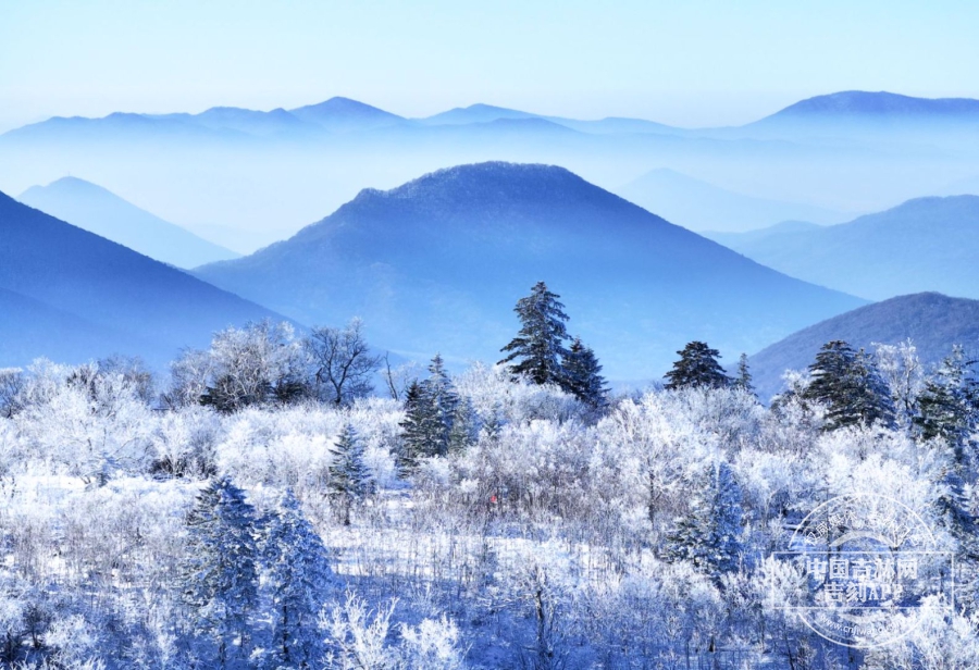 43a12d545n644dc8a3cbaeaab8ca9bdb.jpg 43a12d545n644dc8a3cbaeaab8ca9bdb.jpg