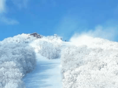 65E85ADB-5382-42C7-984A-6B5B7BBEB09B.gif 65E85ADB-5382-42C7-984A-6B5B7BBEB09B.gif